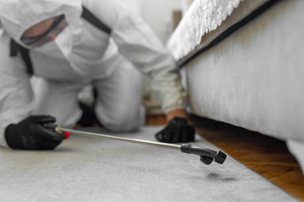 Professional Bed Bug Control technician working in Bladen County County, NC